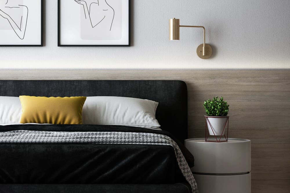 A small green succulent on a bedside table in a bedroom